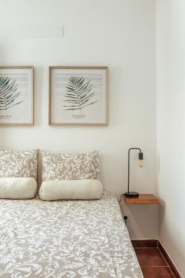 Pinheirinha Guest House Alpiarça 外观 照片