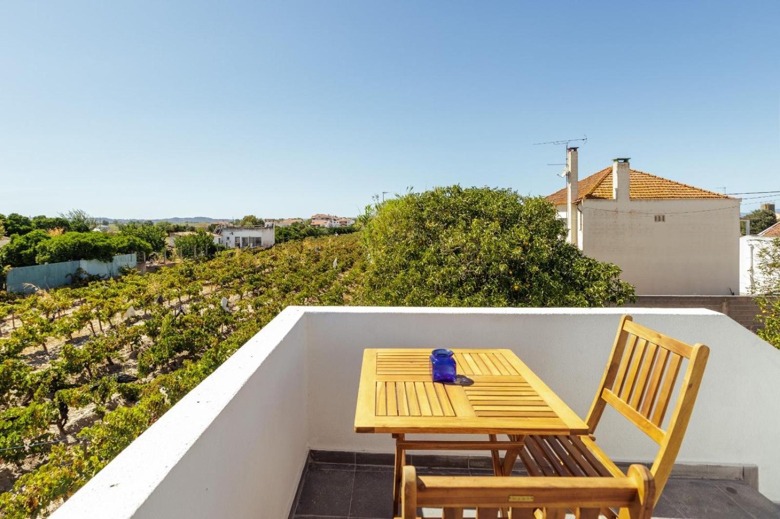 Pinheirinha Guest House Alpiarça 外观 照片